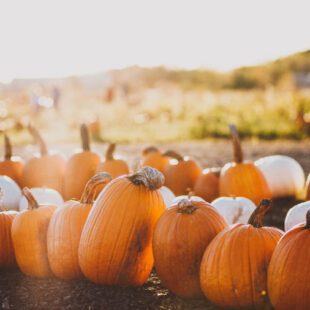 maddy-baker-gs32t4txsjy-unsplash_web