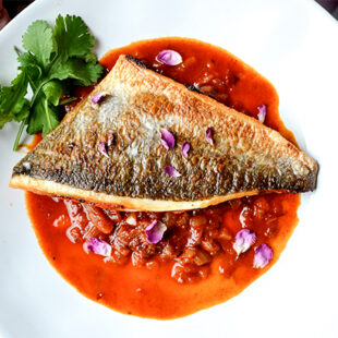20-1_meer_und_fluss_mam_fish_bryony-caldwell-hlqzyr_tgwi-unsplash