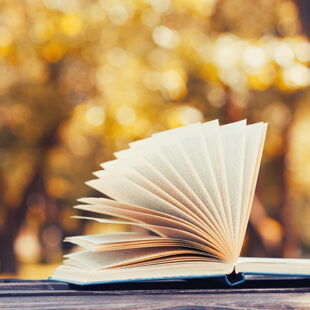 Online-Workshops Angebot Herbst Homestudying
