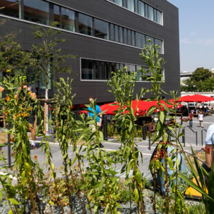 Begrünter und belebter Freisitz der Mensa am Medizincampus