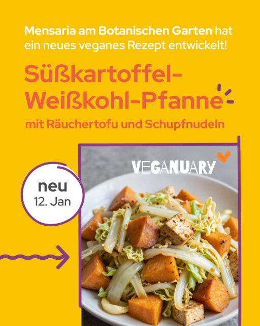 🪄 Probier dieses neue vegane Gericht & sag uns wie’s dir schmeckt! 🍠 Süßkartoffel-Weißkohl-Pfanne mit Räuchertofu und Schupfnudeln 🍠📍 Mensaria am Botanischen Garten 📆 Montag, 12. Januar 2026Die neue Rezeptur ist Teil der Veganuary-Aktion. 🌱〰Probier´s vegan. Diesen Januar. 🌱 @‌veganuarydeutschland#Veganuary #VeggieMensa #StudentenwerkLeipzig #VeganInLeipzig #MensaLiebeBild: KI generiert