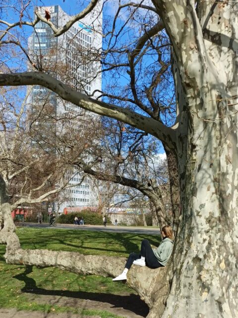 Wo sind eure Lieblingsspots zum Sonne tanken? ☀️🌳😎#semesterferien #studentlife #sunseekers #springtime #studentenwerkleipzig