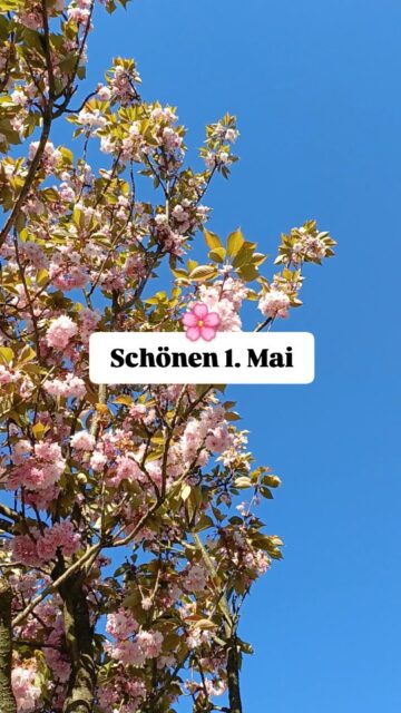 Genießt die Sonne und den freien Tag 🌞