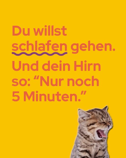 „Nur noch kurz abschalten“ und plötzlich ist es 2 Stunden und 47 Reels später. 🫠📱 Wer kennts?Revenge bedtime procrastination passiert oft dann, wenn der Tag voll war und dein Kopf abends noch ein bisschen Freizeit zurückholen will. Fair enough.Leider kommt die Rechnung meistens am nächsten Morgen: müde, unkonzentriert, gestresst. 💤Ein paar kleine Tipps, die du heute Abend ausprobieren kannst, findest du im Post.Wichtig: Es geht nicht darum, deinen Abend perfekt zu optimieren. Nur darum, dir ein bisschen mehr Ruhe zu gönnen. 🌙Foto: Adobe.stock.com/ Irina, Adobe.stock.com/ Petra Richli, Adobe.stock.com/ Irina, Adobe.stock.com/ drakuliren, Adobe.stock.com/ Alexa, Adobe.stock.com/ Dzha, Adobe.stock.com/ Rumo#RevengeBedtimeProcrastination #Prüfungszeit #StudierenInLeipzig #StudentenwerkLeipzig
