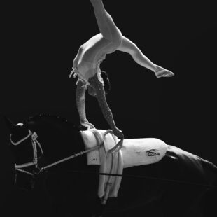 Auf dem schwarz-weiß-Foto ist eine voltigierende Person zu sehen, die auf dem Rücken eines Pferdes Handstand macht.