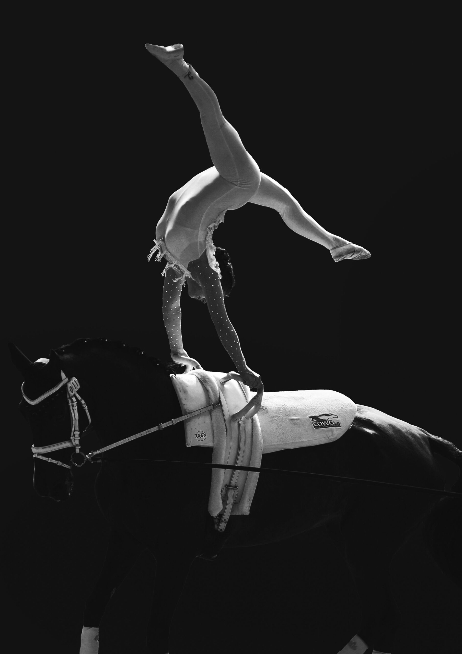 Auf dem schwarz-weiß-Foto ist eine voltigierende Person zu sehen, die auf dem Rücken eines Pferdes Handstand macht.